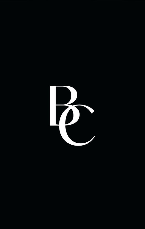 BASHI CAPITAL <br>A New Standard in Modern Finance